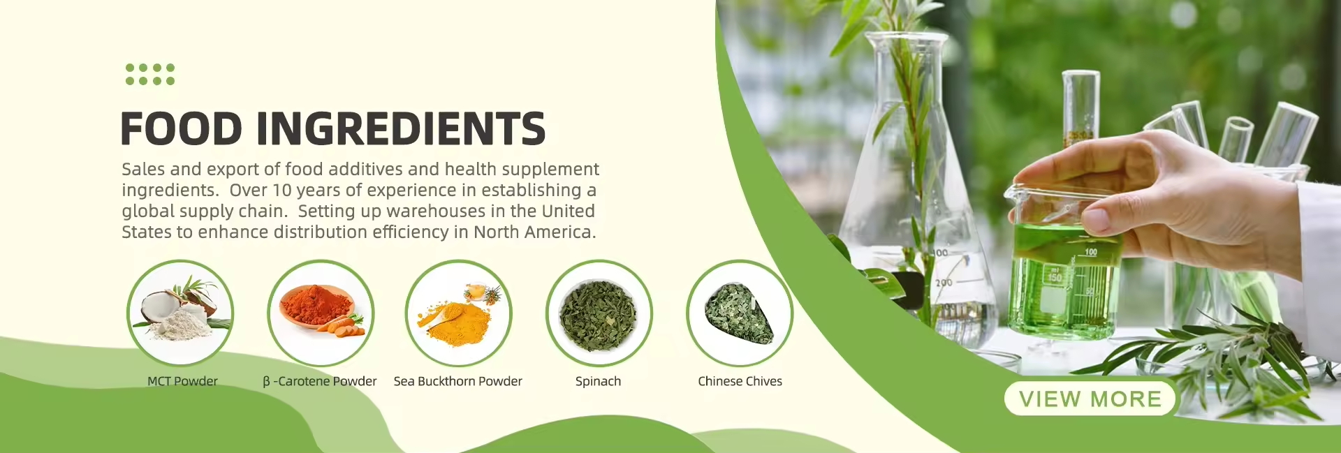 <span hidden>title</span>